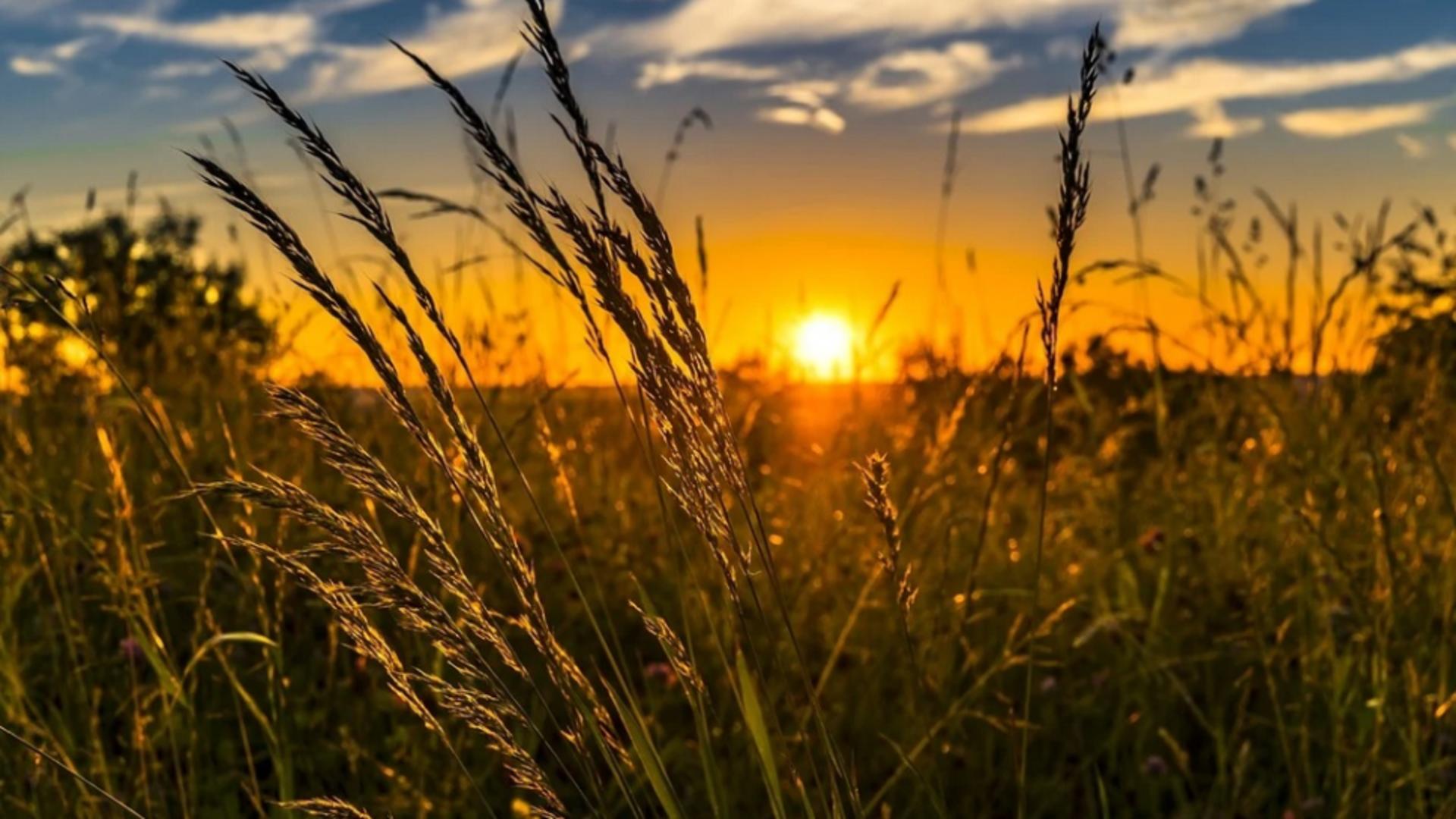 Solstițiul de vară 2021 – tot ce trebuie să știi. Ce semnifică de fapt denumirea de solstițiu și câte ore are cea mai lungă zi din an