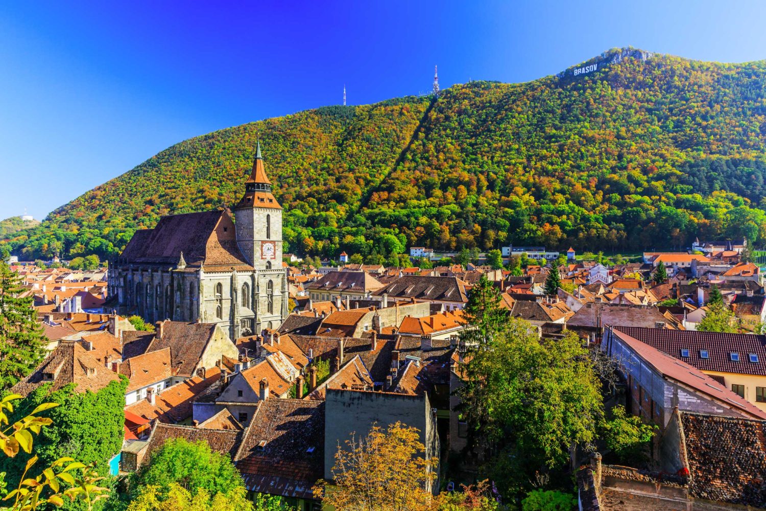 TOPUL celor mai bune restaurante din Brașov, conform Tripadvisor