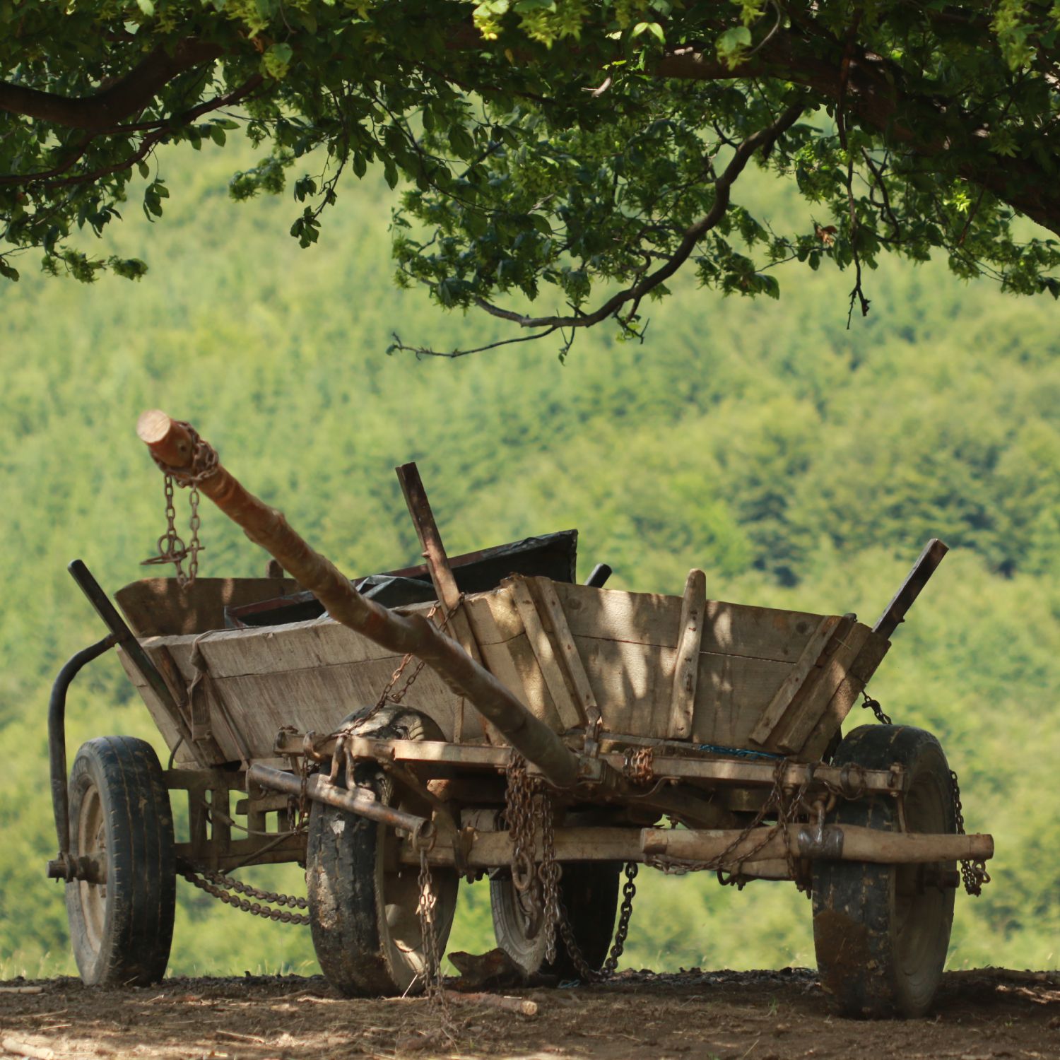 expresii pe care le folosesc moldovenii. Sigur nu le înțelegi, dacă nu ești din această regiune