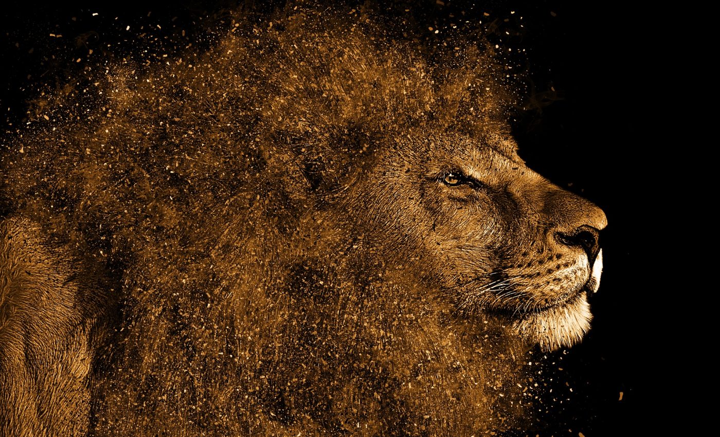 Horoscop, zodii, astrologie.  Bărbatul Leu – caracteristici, compatibilitate, defecte