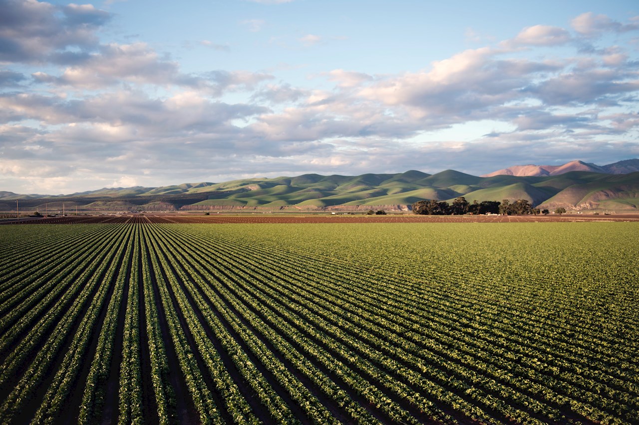 Teren agricol