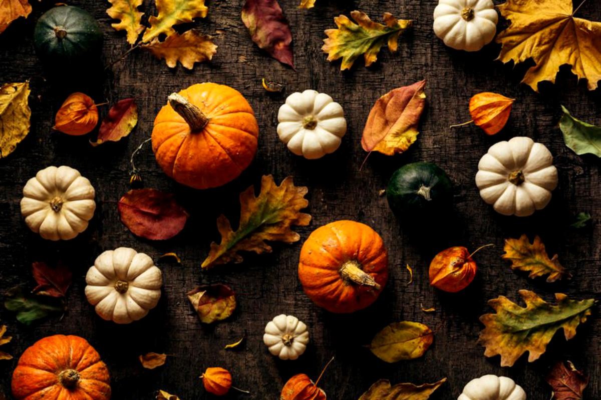 Cum îngrijești corect cultura de dovleci ca să ai fructe mari și dulci