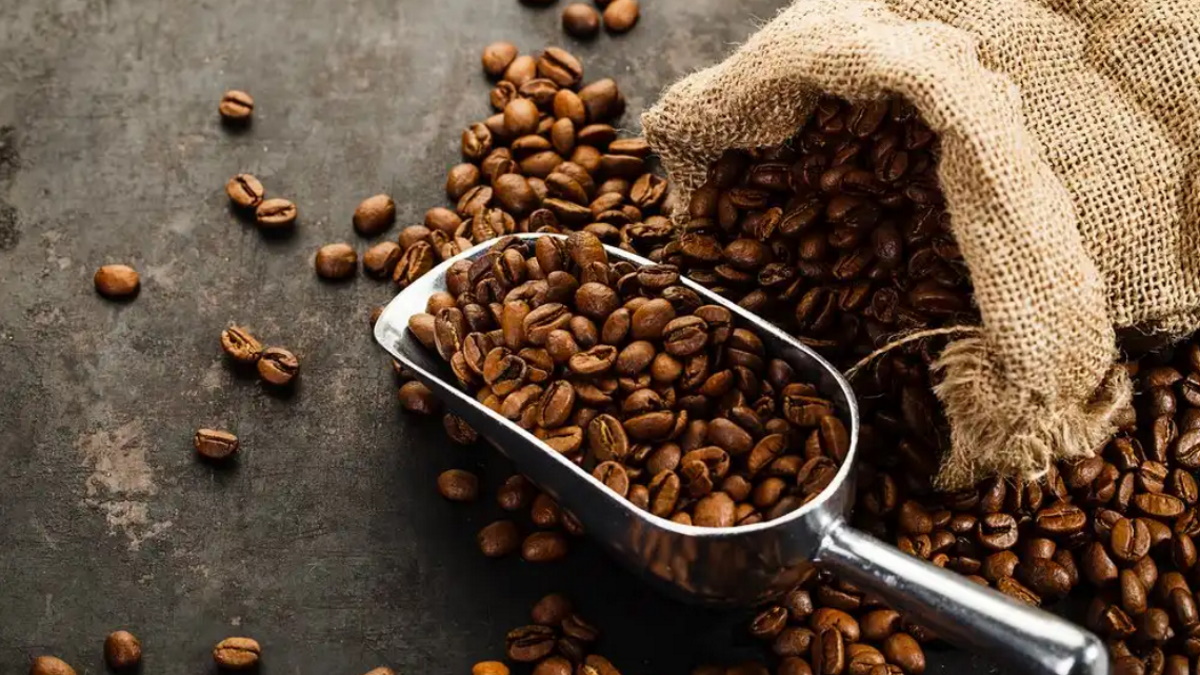 Cum poți cultiva boabe de cafea la tine în apartament