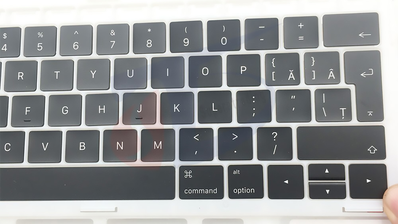 Cum scrii cu diacritice pe laptop sau calculator