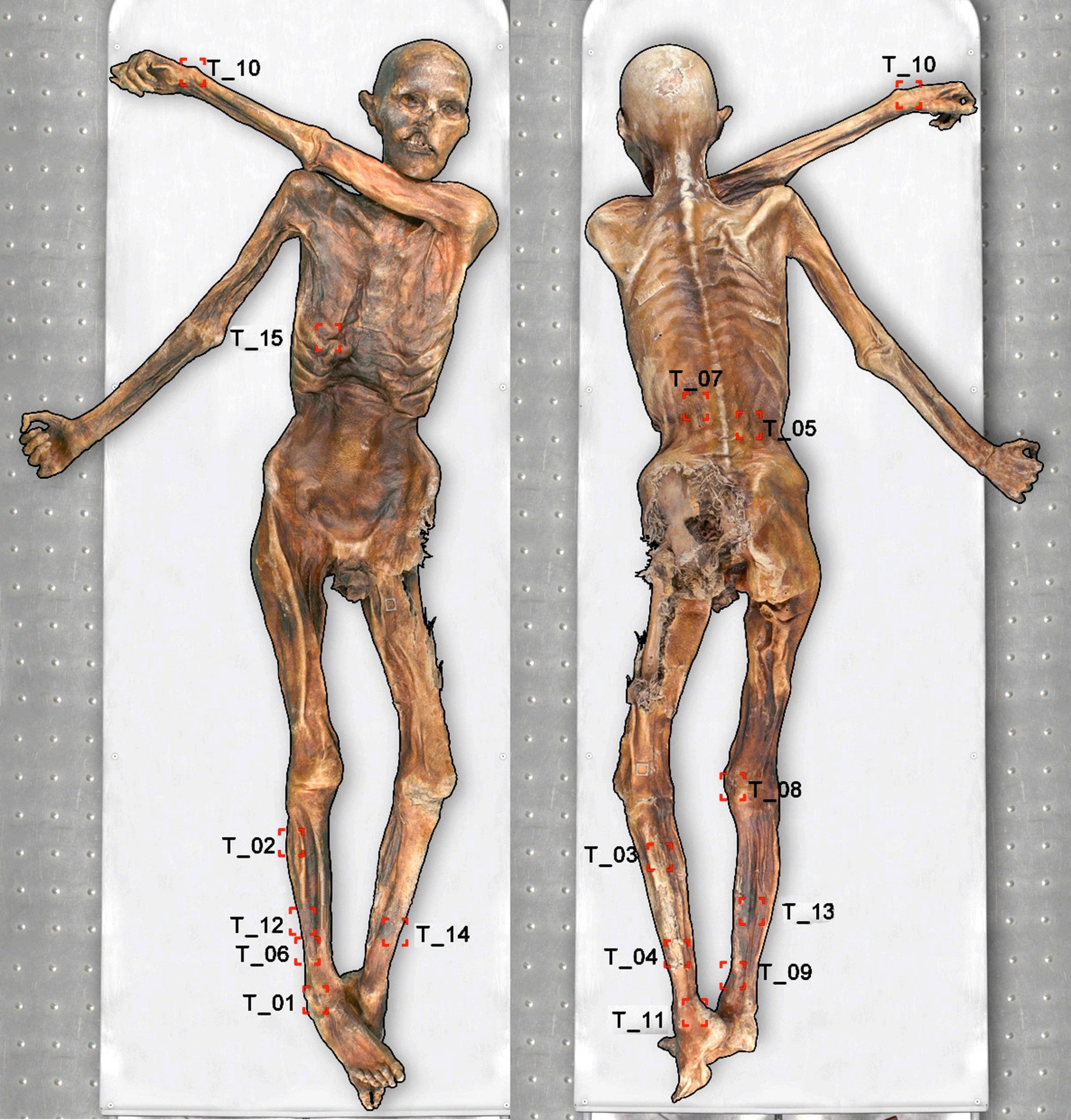 Descoperiri incredibile făcute în ghețarii care se topesc. Mumia Ötzi