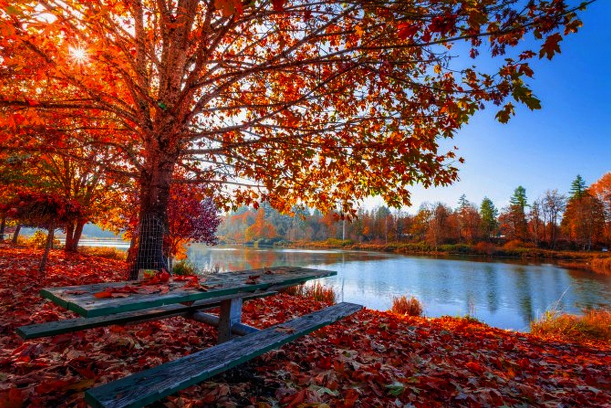 Meteo 30 august – 27 septembrie 2021. Vremea se răcește. Ce temperaturi se vor înregistra în România