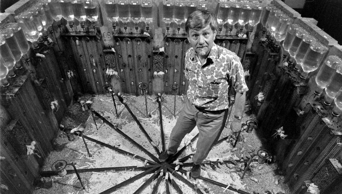 Universul 25, experimentul bizar care dă fior omenirii. Ce a scos în evidență despre apocalipsă