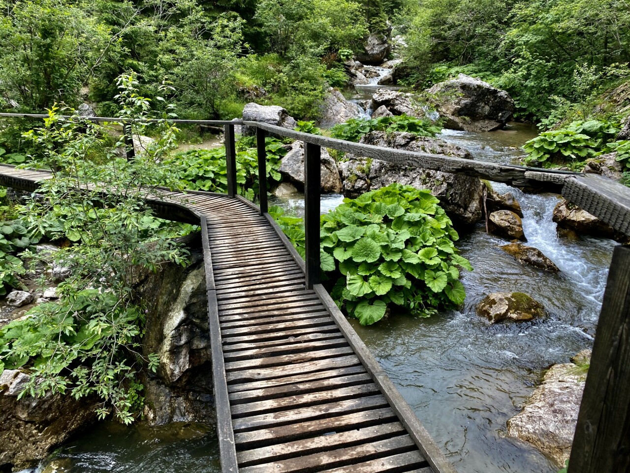 Cheile Zănoagei