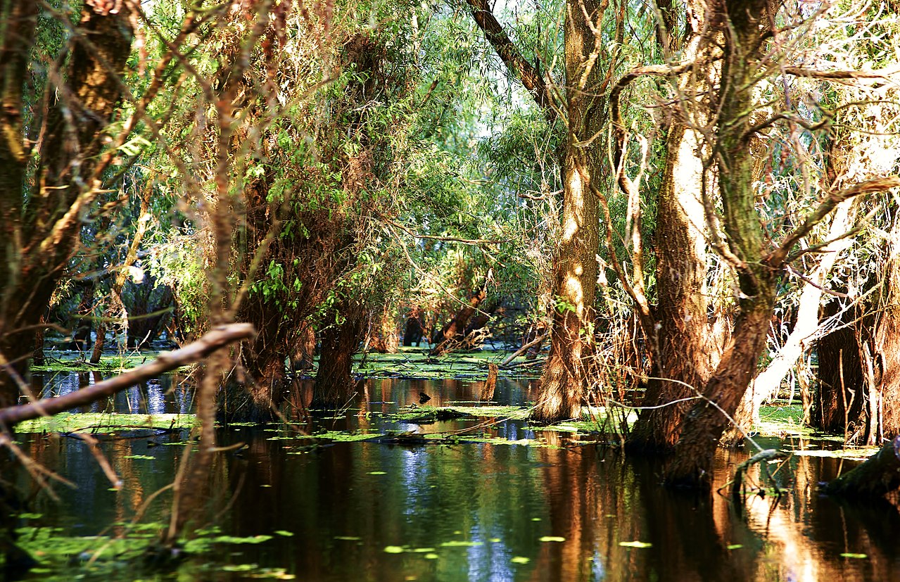 8 locuri unice în România și în lume. Motivul pentru care sunt considerate speciale