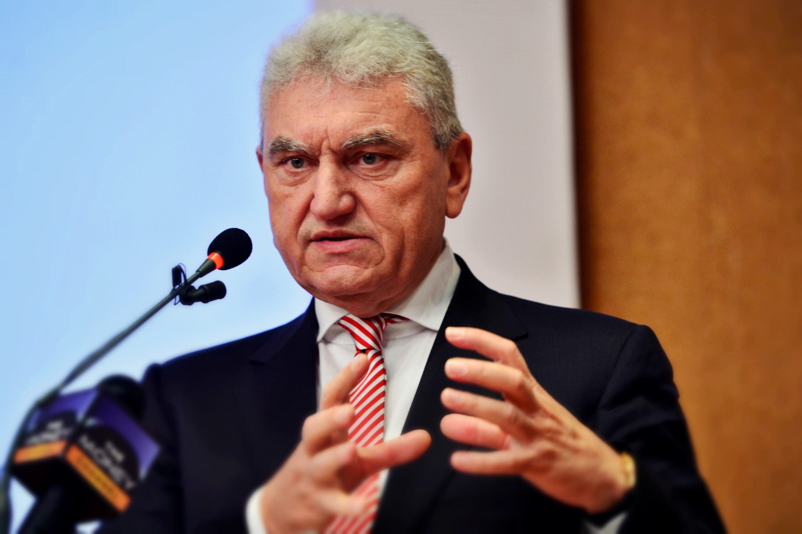 Mișu Negrițoiu