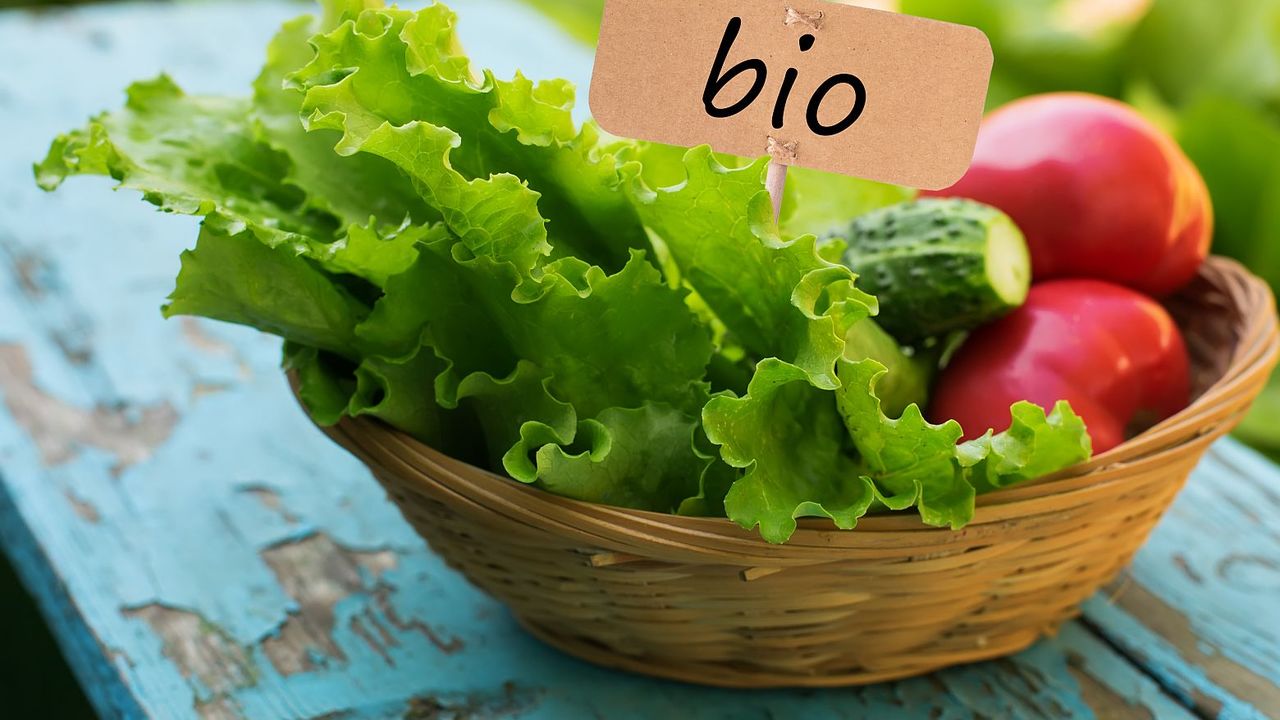 Noi reguli pentru firmele care pun pe piață produse ecologice. Detaliul care trebuie să apară pe etichetă, de la 1 ianuarie 2022