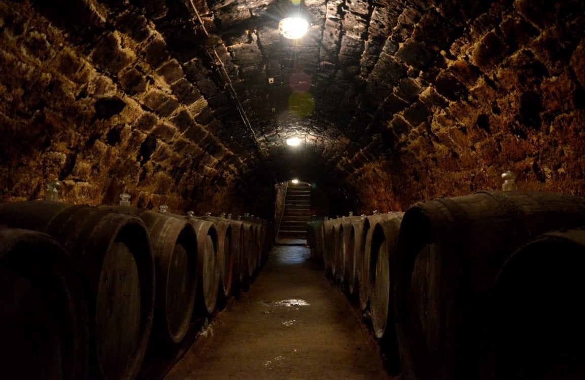 Satul celor 1000 de pivnițe. Unde se află în România această localitate și ce scrie la intrare