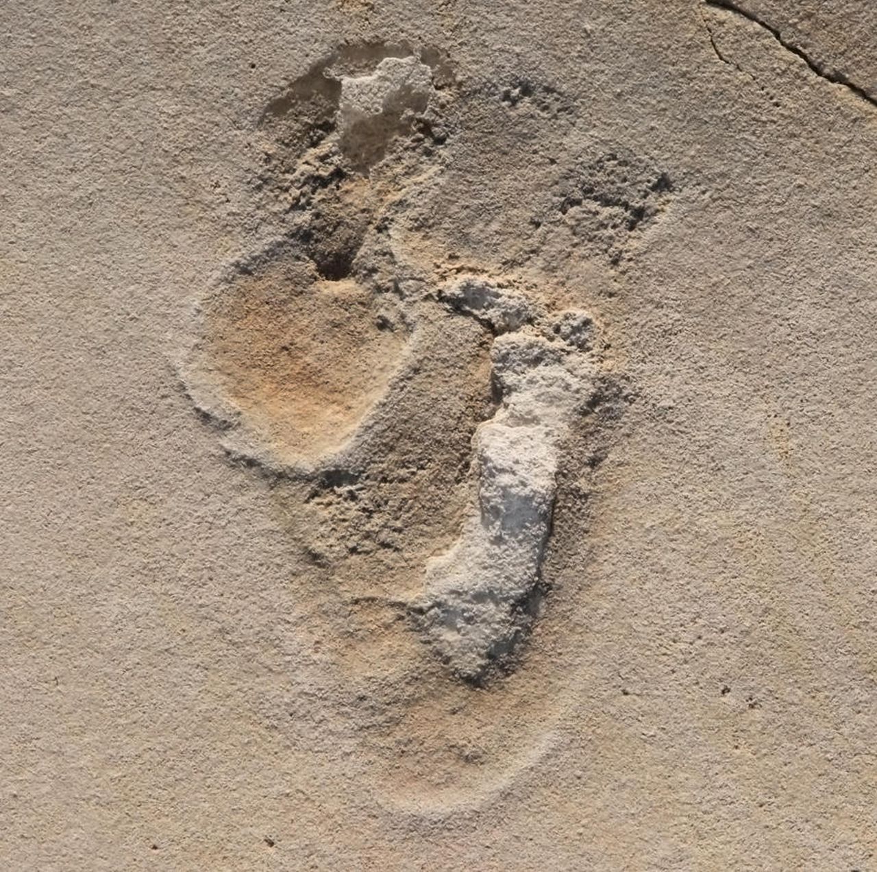 Urme de pași descoperite pe Insula Creta / Foto: Per Ahlberg, Uppsala