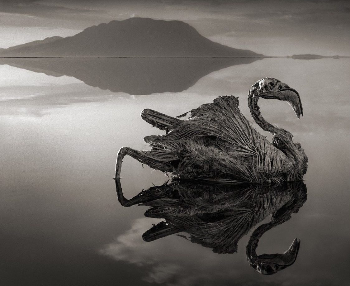 Lacul Natron, Tanzania
