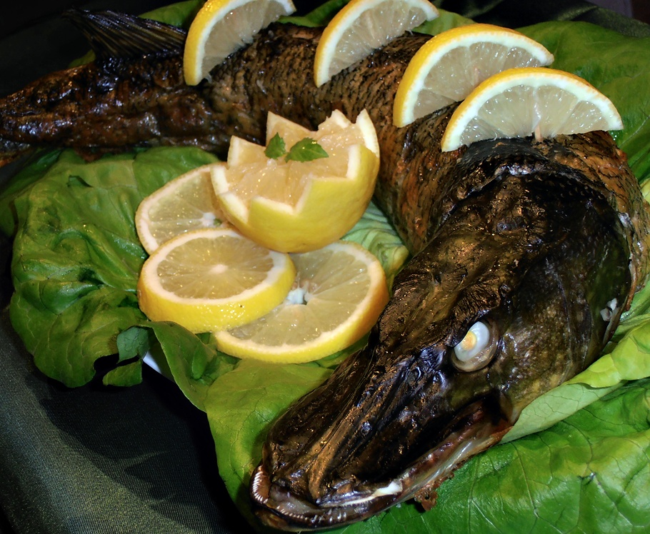 Cum prepari cea mai bună știucă la cuptor. Ingrediente, mod de preparare și mici trucuri din bucătăria pescarilor 