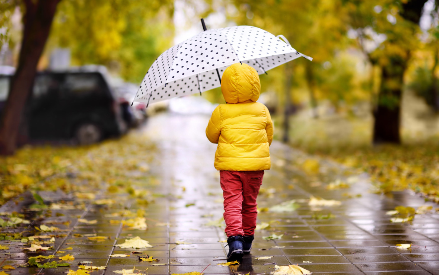 Prognoza meteo 11 octombrie – 8 noiembrie 2021. Vreme rece în România. Când se mai încălzește