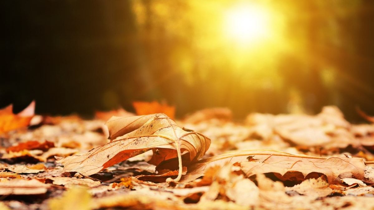 Prognoza meteo octombrie 2021. Cum va fi vremea în luna octombrie, în România