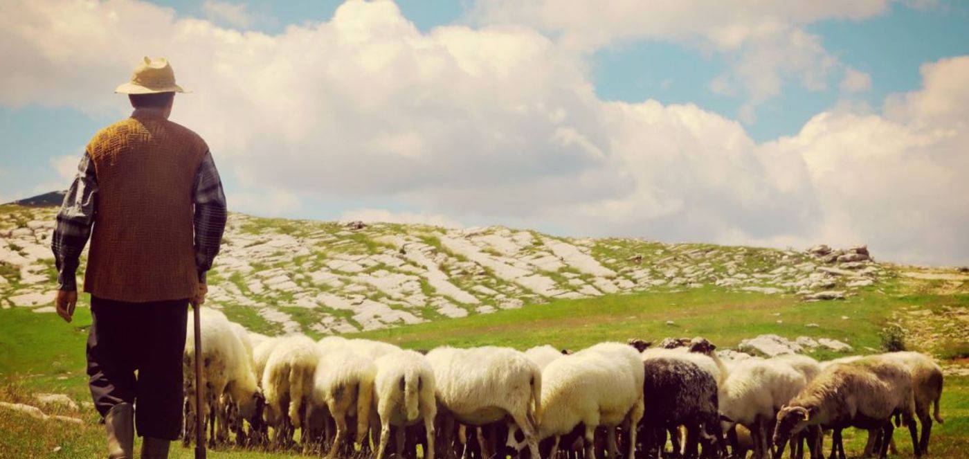 Tradiții și obiceiuri de Sfântul Dumitru