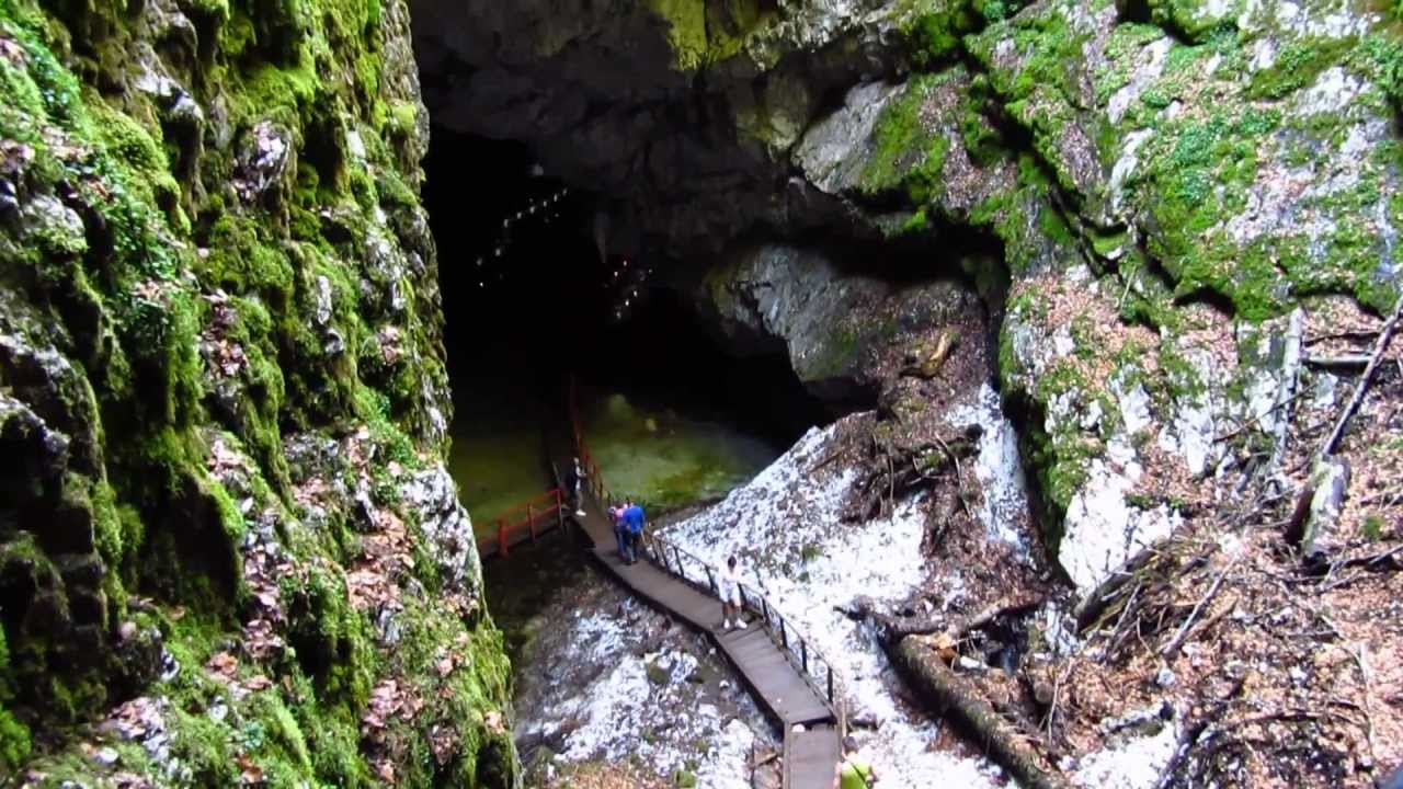 peștera scărișoara