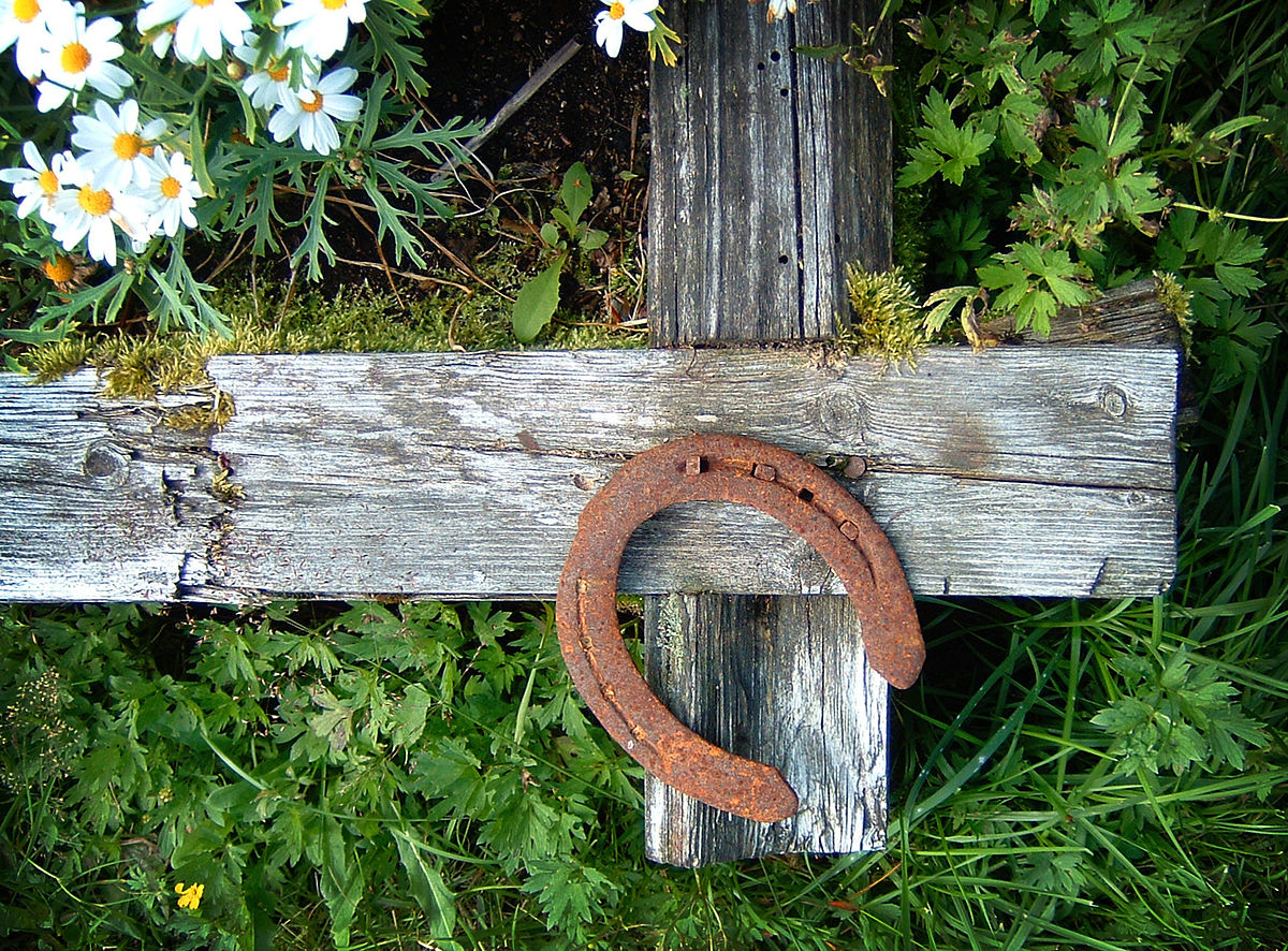 9 obiecte găsite care atrag norocul și prosperitatea. Monedele vechi, pe listă