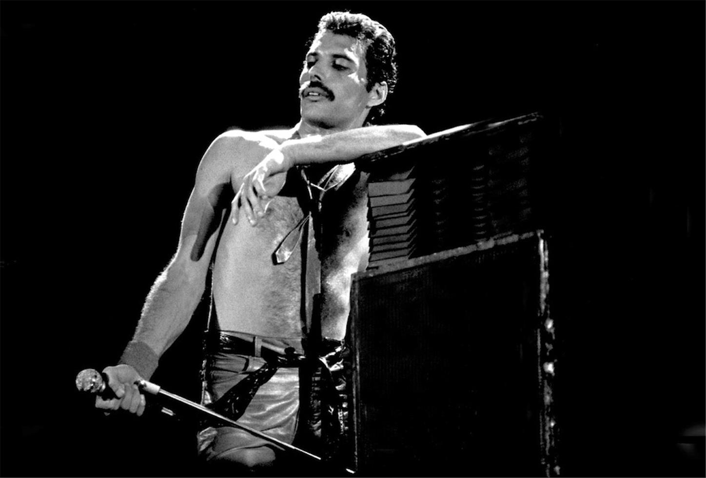Freddie Mercury, Queen, America de Sud, 1981