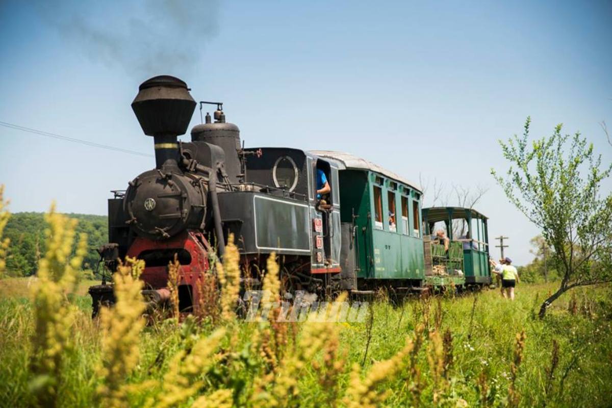 valea hârtibaciului