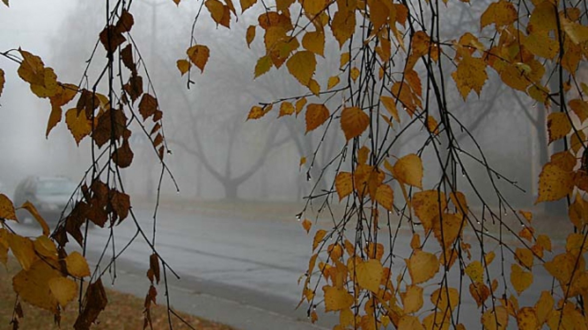Prognoza meteo pentru perioada 29 noiembrie - 27 decembrie