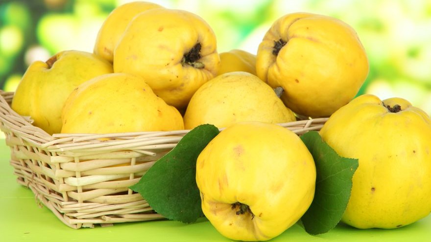 Rețetă de mâncare simplă de gutui. Cum se prepară și de ce ingrediente ai nevoie