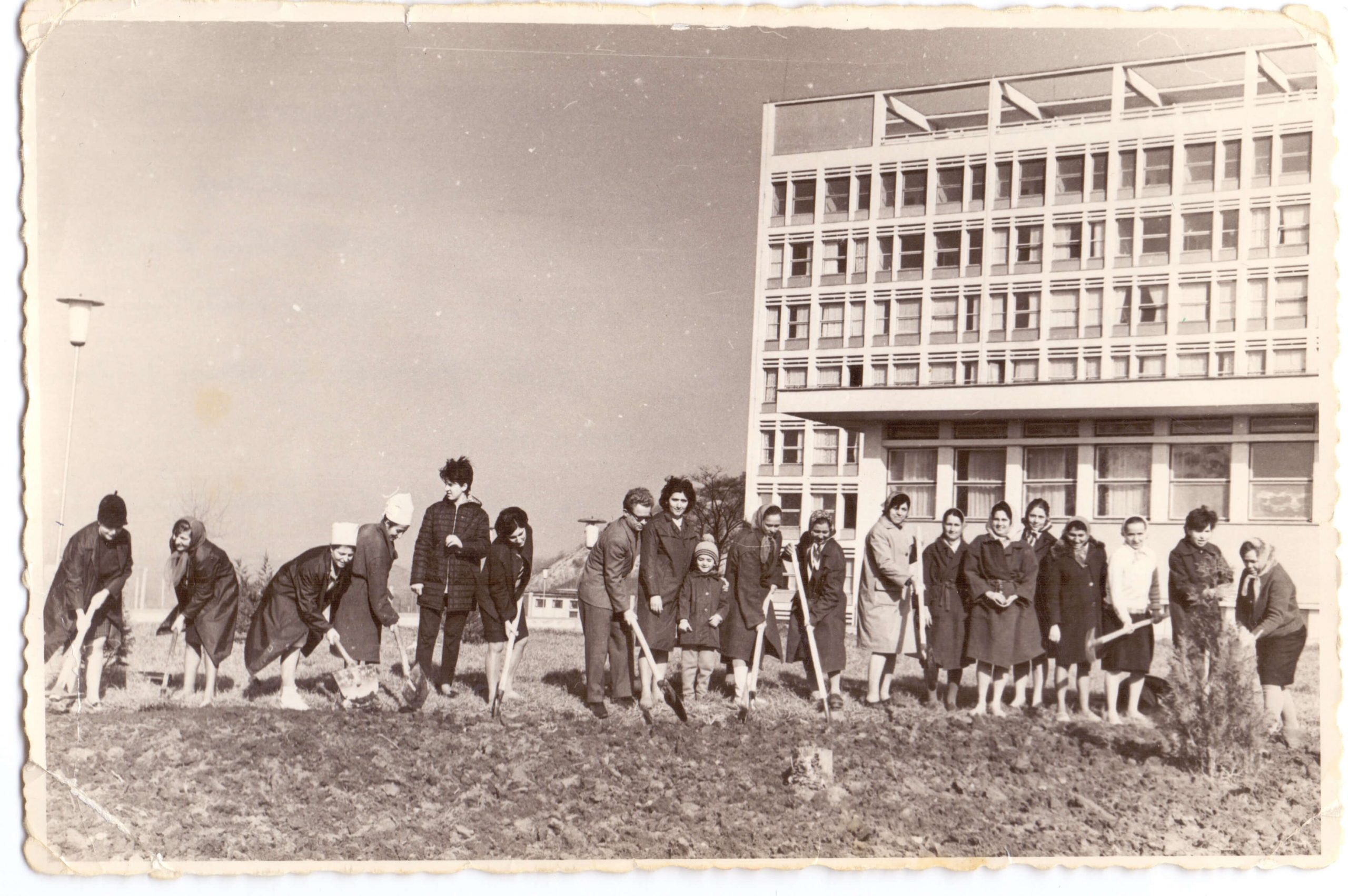 Muncă patriotică în vremea lui Ceaușescu