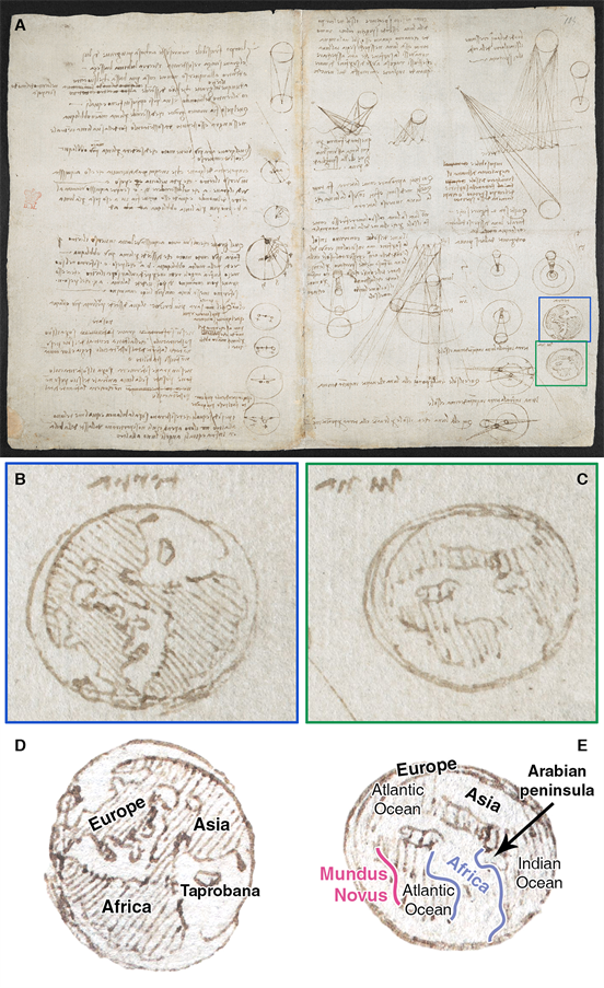 Schițe din Codexul Arundel al lui da Vinci. Foto: Consiliul Bibliotecii Britanice