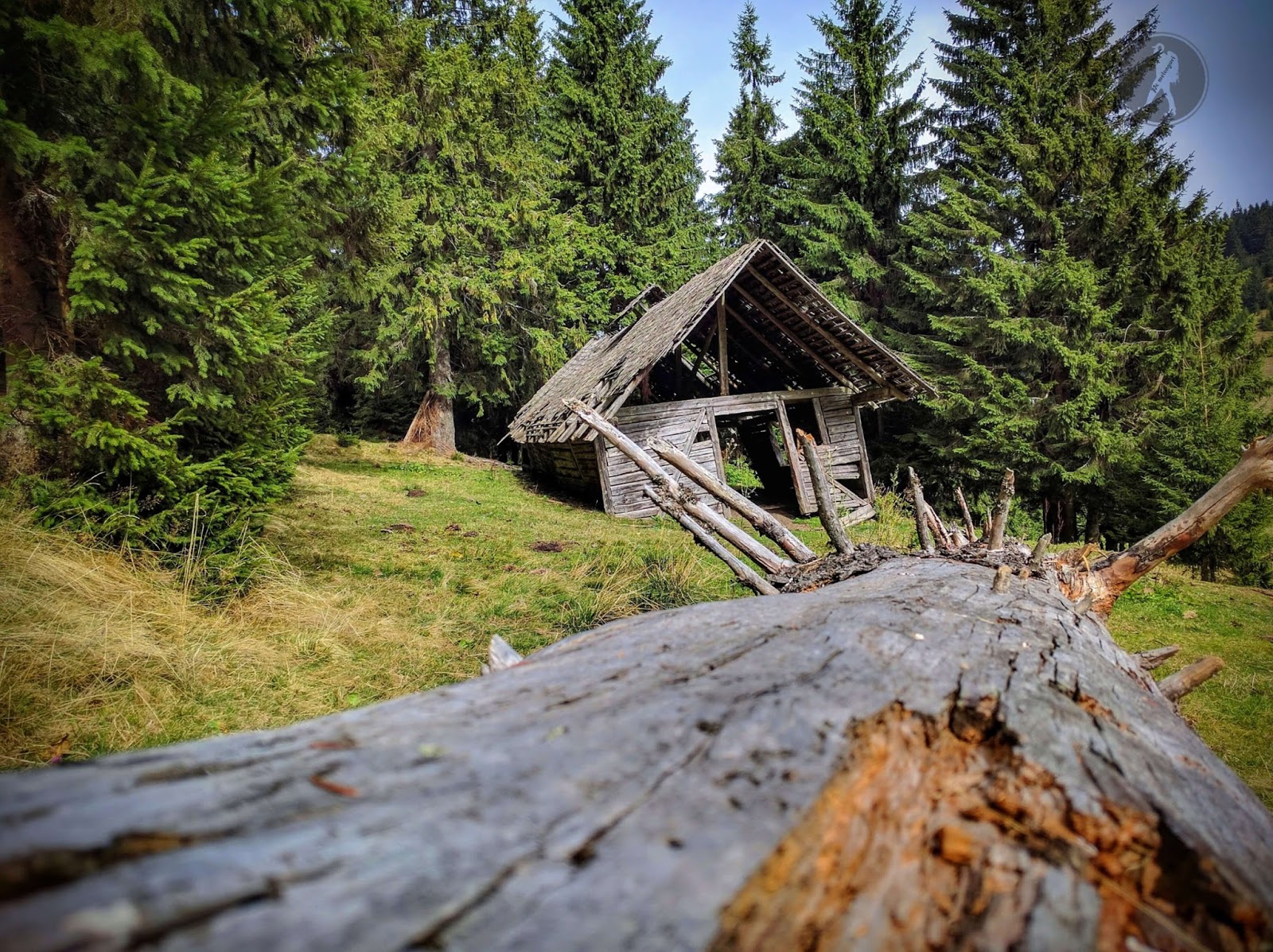 fenomene paranormale