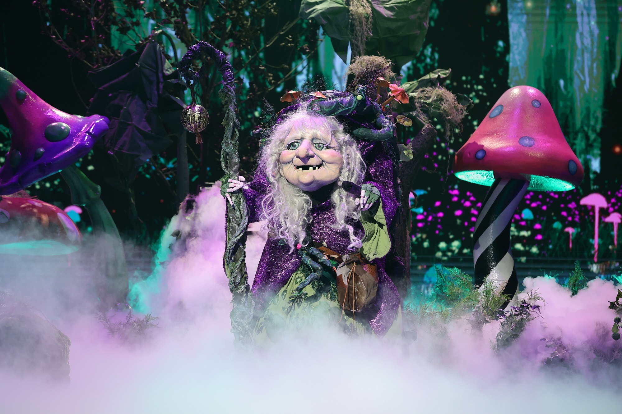 Finala Masked Singer România