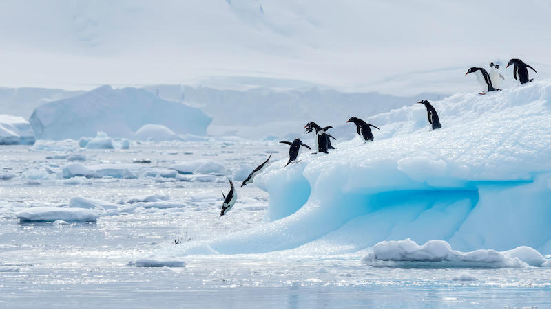 Detalii incredibile despre Antarctica