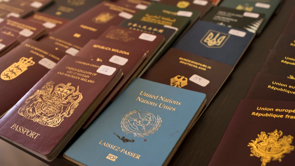 Cum arată pașapoartele angajaților Interpol și ai Națiunilor Unite. Conțin date speciale