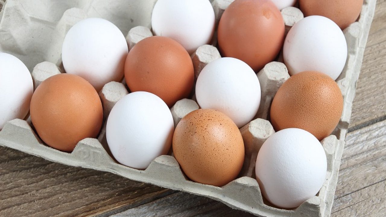 Curiozități despre ouă. Cum afli dacă un ou este vechi sau proaspăt
