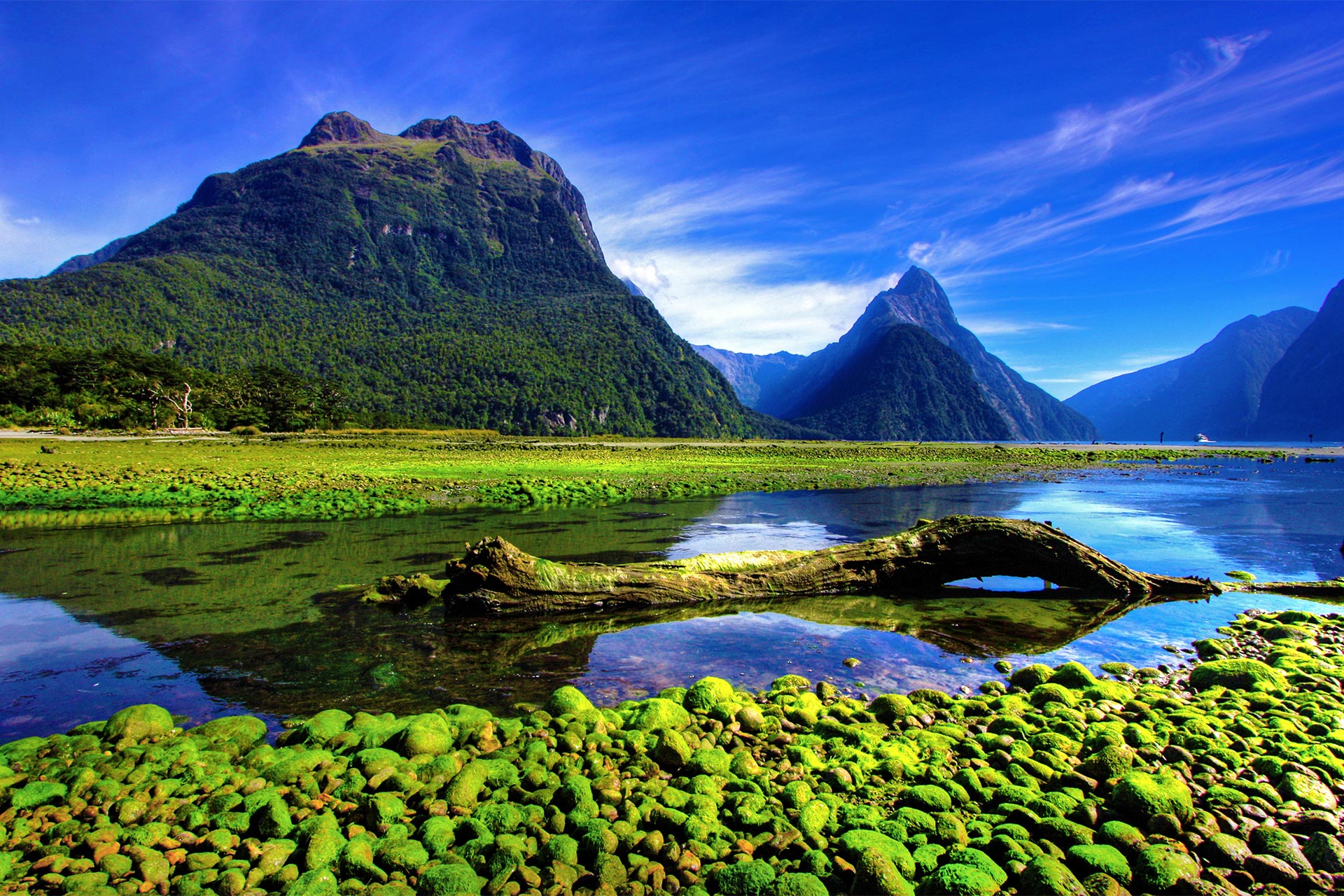 Milford Sound, Noua Zeelandă