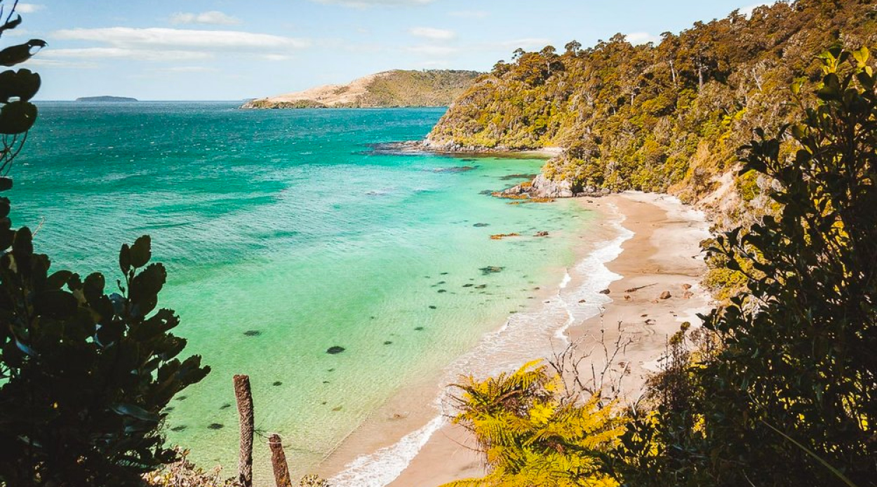 Insula Stewart, Noua Zeelandă