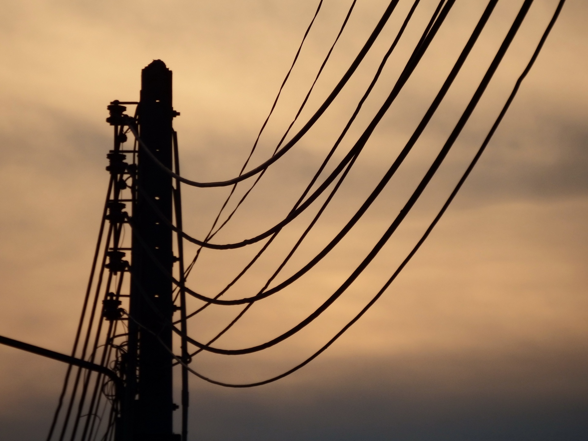electricitatea bâzâit