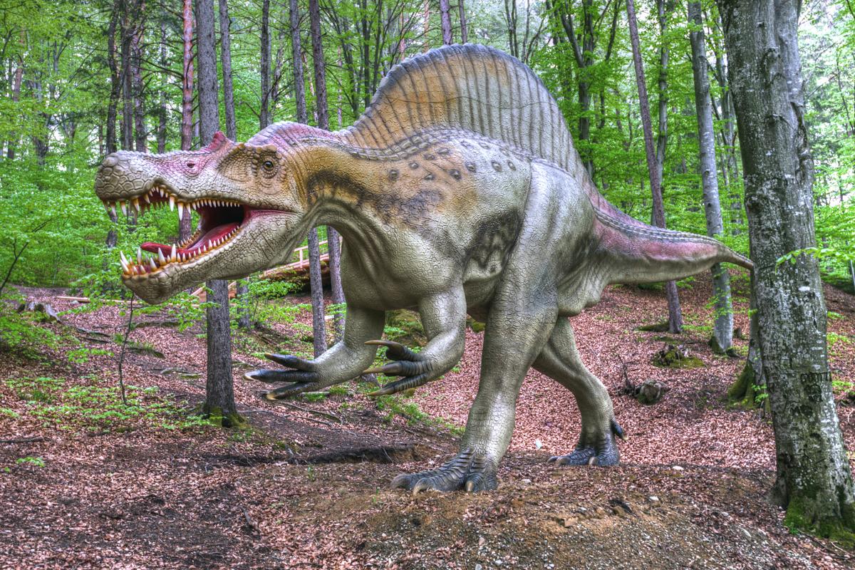 Care este cel mai mare animal din lume. 7 viețuitoare uriașe din istoria Pământului