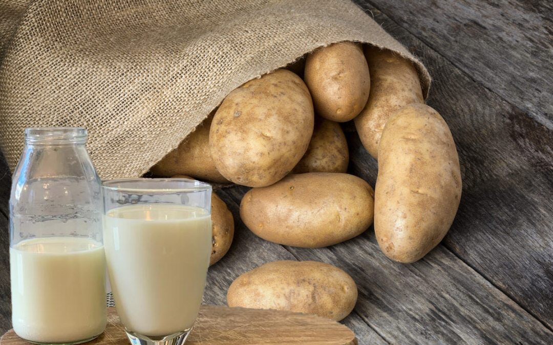 Ce gust are laptele de cartof, cel mai nou înlocuitor al laptelui animal, și cum se prepară