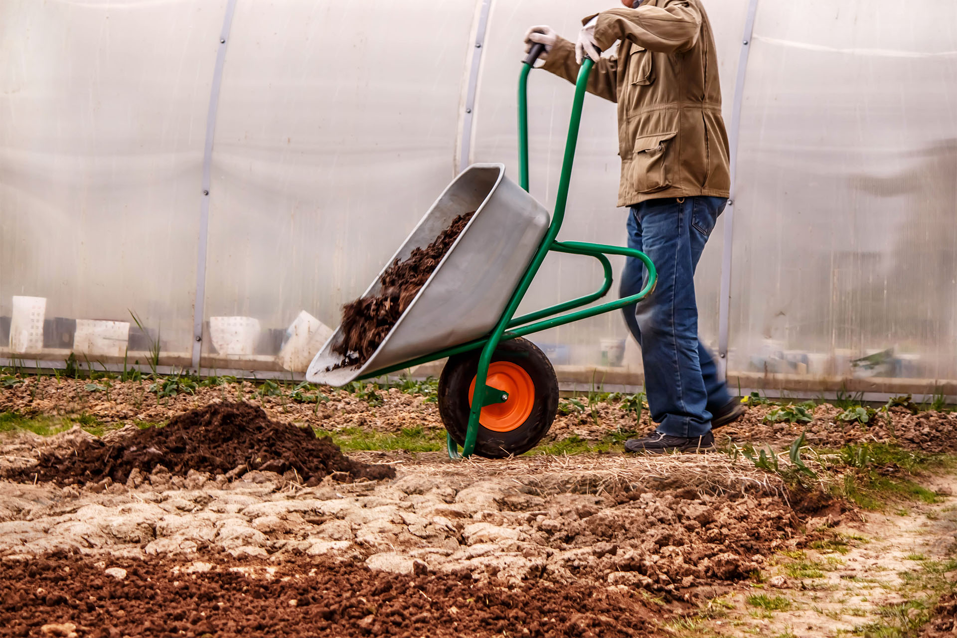 Poluarea este un factor extrem de important