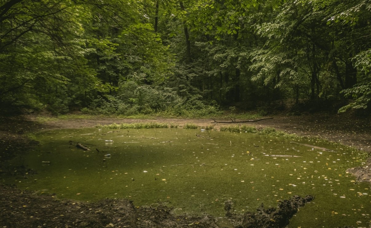 Balta Vrăjitoarelor, locul de lângă București plin de legende și fenomene inexplicabile. Ce se petrece de fapt aici