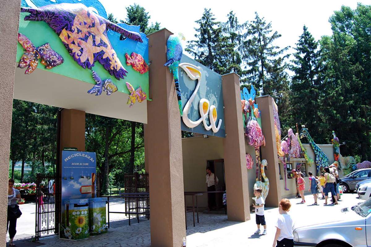 Care sunt cele mai frumoase 5 grădini zoologice din România. Unde se află și cum se face accesul publicului