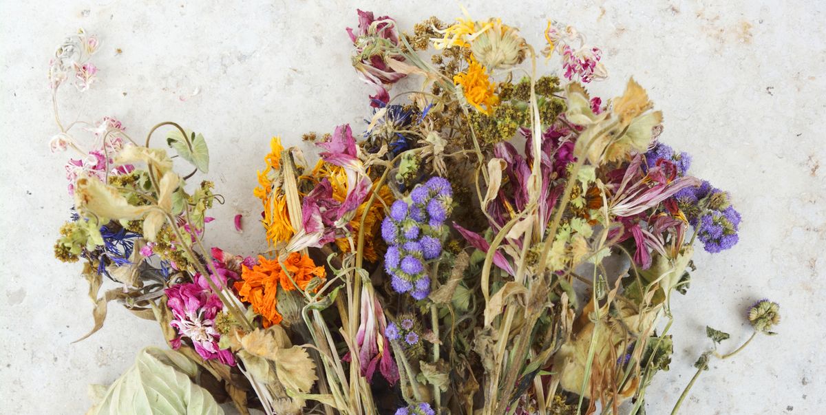 Ce poți să faci cu florile uscate. 6 moduri neașteptate în care le poți folosi