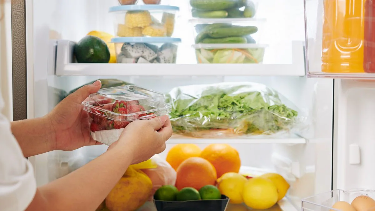 Cum se păstra mâncarea înainte de inventarea frigiderului