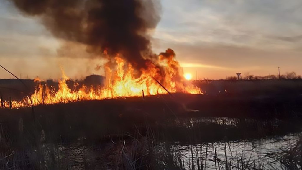 Cât de periculoase sunt incendiile de vegetație și ce amendă riscă cei care fac acest lucru