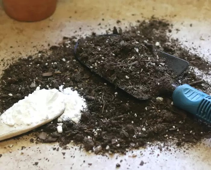 Cum te poate ajuta bicarbonatul de sodiu în grădină