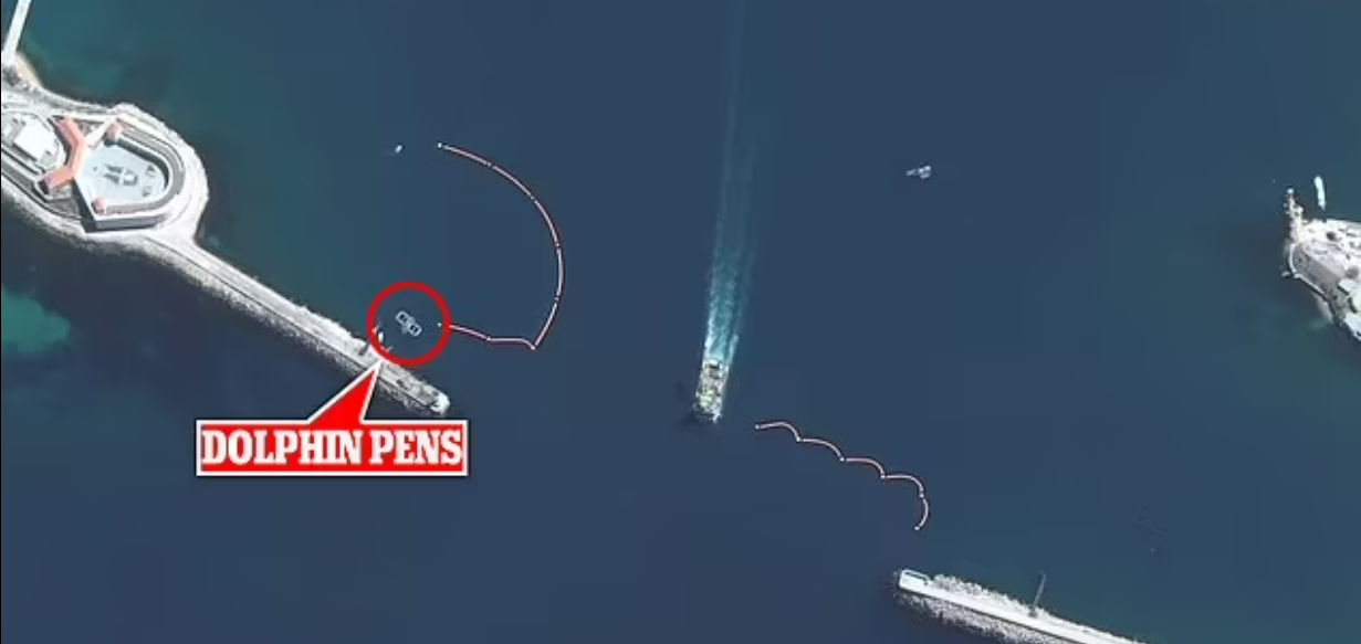 Fotografiile din satelit americane arată țarcurile plutitoare pentru delfini de lângă zidul portului / Sursa foto: dailymail.co.uk