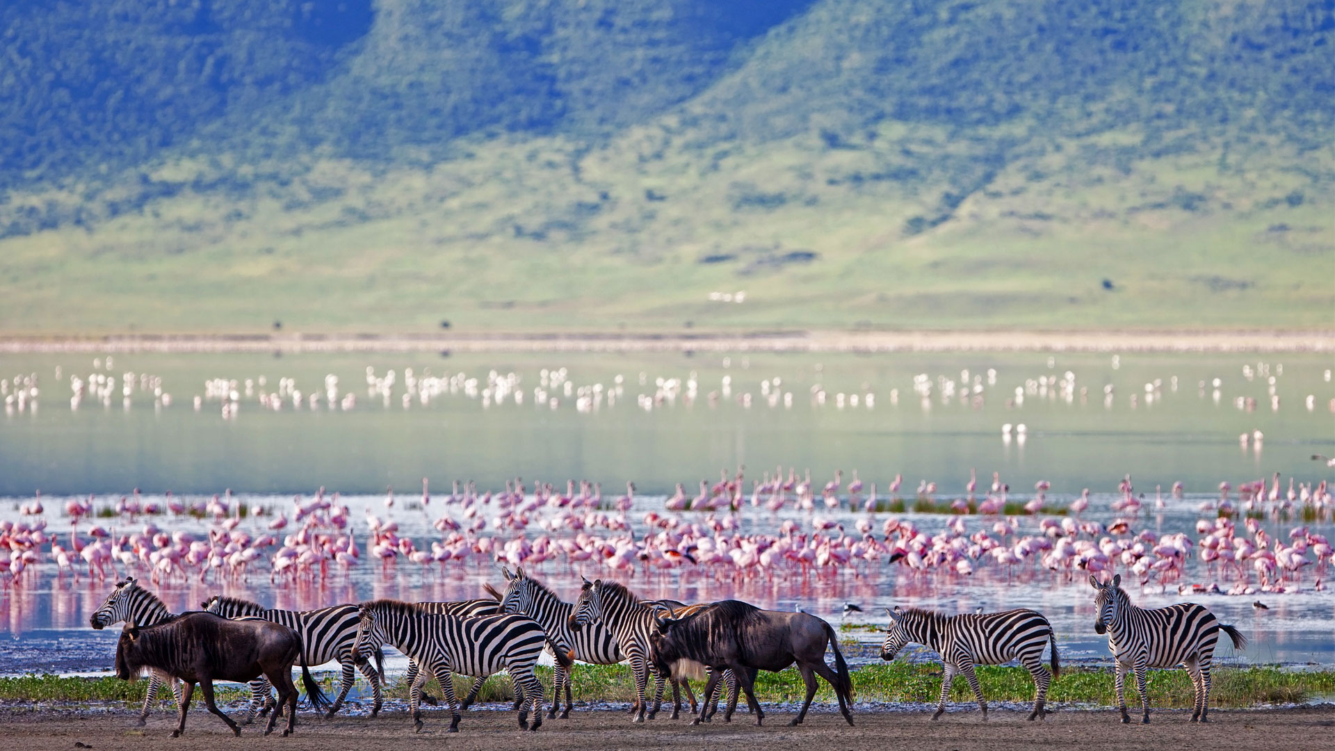 Zona de conservare Ngorongoro