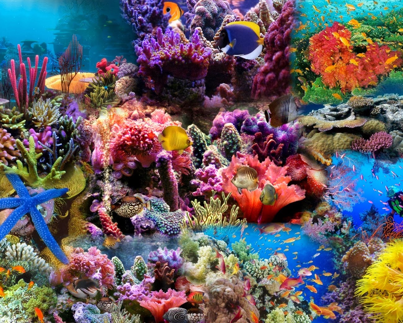 Marea Barieră de Corali din Australia